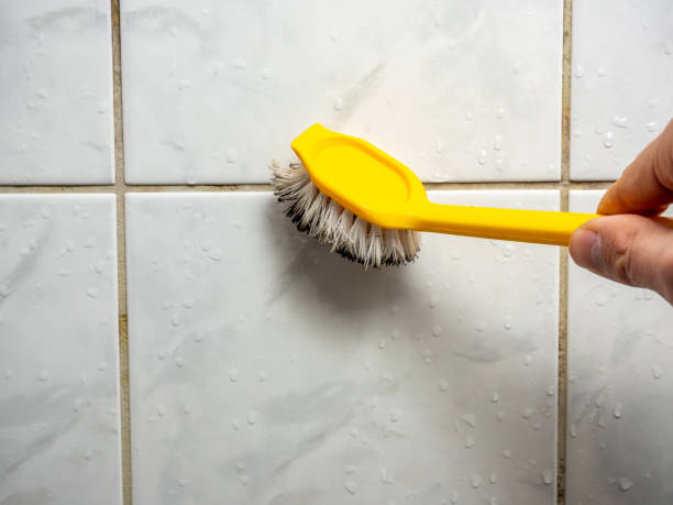 Best Office Mold Removal Services  in Kaanapali, HI