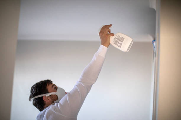 Best Water Damage Restoration  in Kaanapali, HI