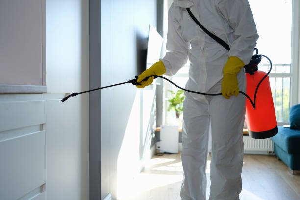 Best Crawl Space Mold Removal  in Kaanapali, HI