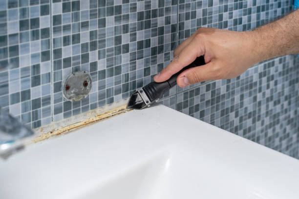 Best Certified Mold Removal  in Kaanapali, HI