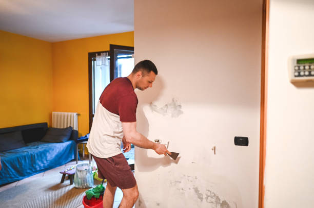Best Local Mold Removal Service  in Kaanapali, HI