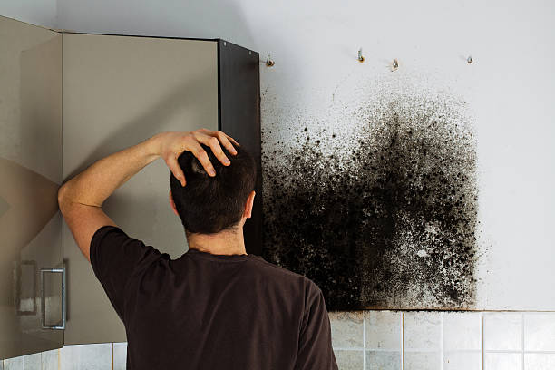 Crawl Space Mold Removal in Kaanapali, HI